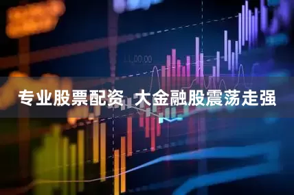专业股票配资  大金融股震荡走强